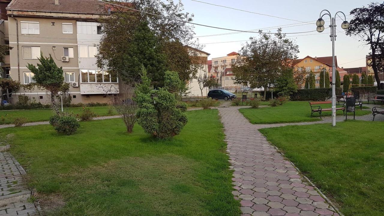 Apartament Ema Baile Felix Băile Felix Exterior foto